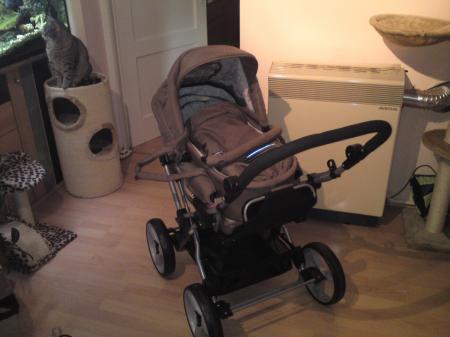 Bild zu 