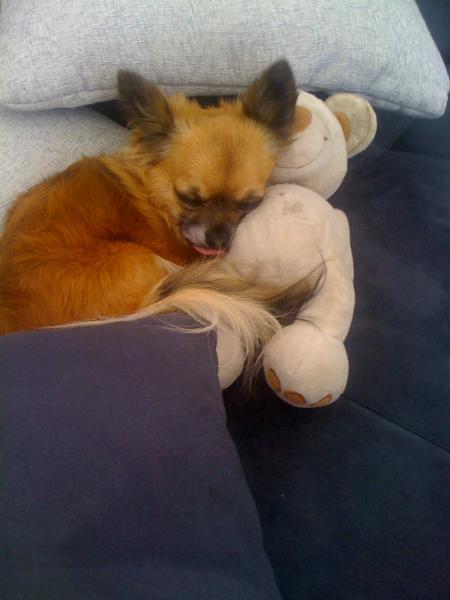 Bild zu 