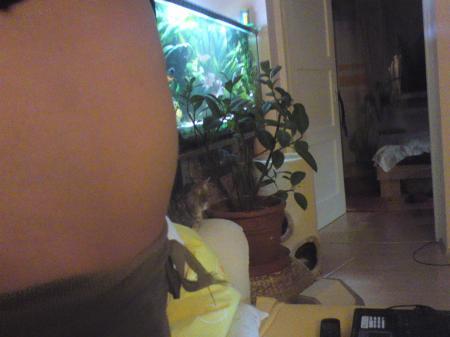 Bild zu 
