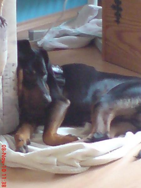Bild zu 