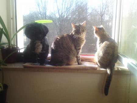 Bild zu 
