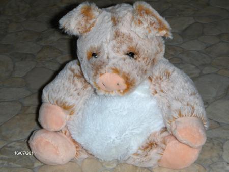Bild zu 