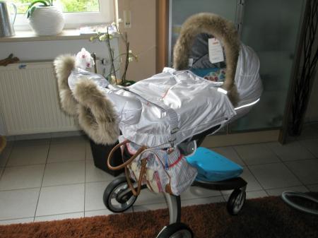 Bild zu 