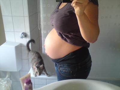 Bild zu ich bin explodiert über nacht - Forum für November - Mamis