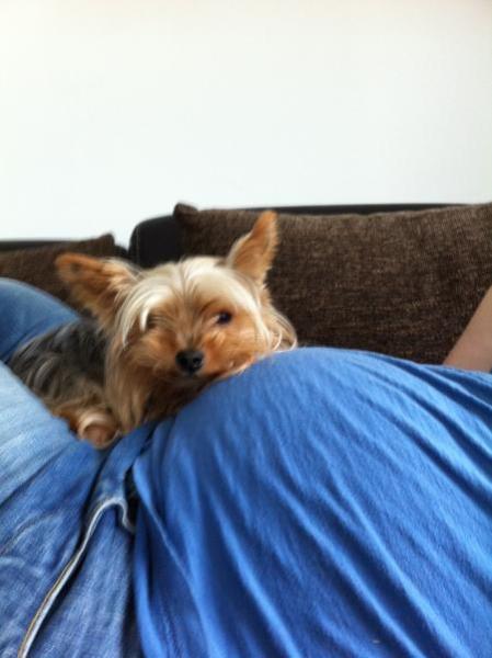 Bild zu 