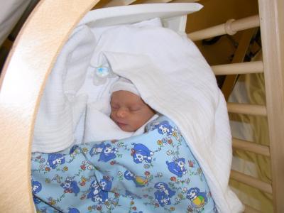 Bild zu Bild unserer Zwergin Laetizia! endlich zu Hause - Forum für November - Mamis