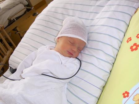 Bild zu