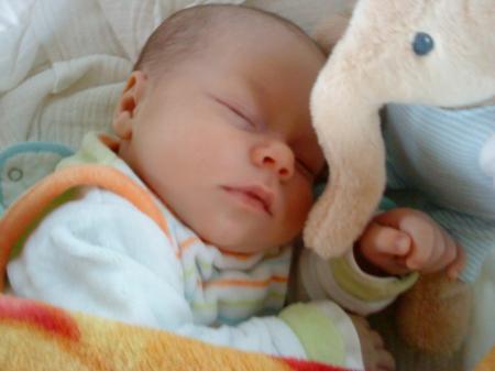 Bild zu