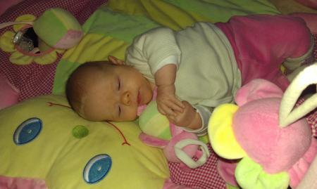 Bild zu 