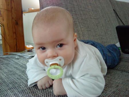 Bild zu 