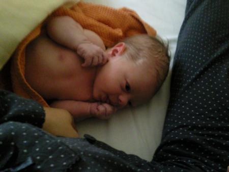 Bild zu 