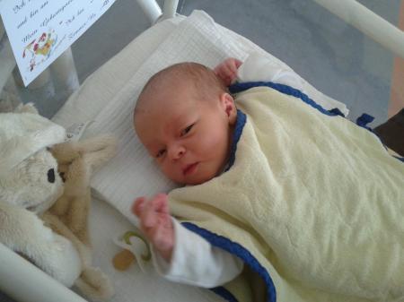 Bild zu 