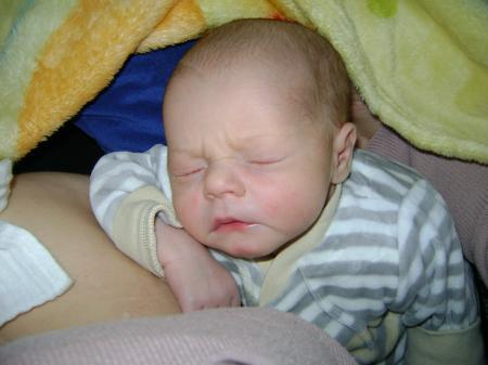 Bild zu