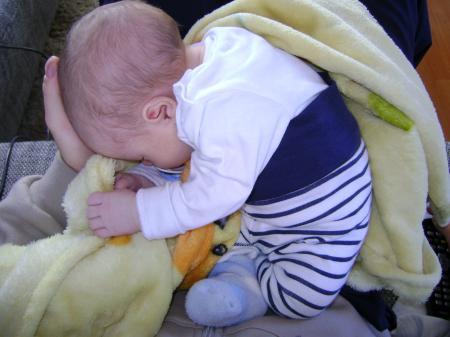 Bild zu 