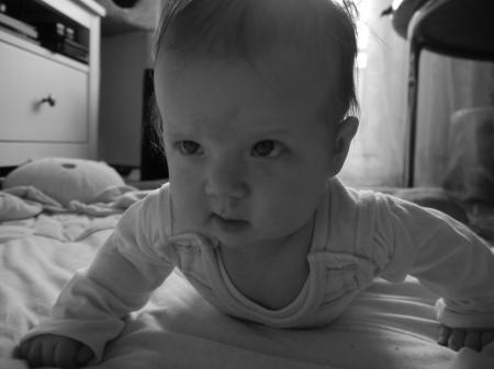 Bild zu 