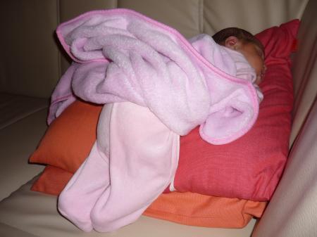 Bild zu 