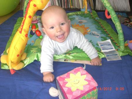 Bild zu 