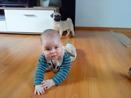 Bild zu 