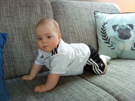 Bild zu 