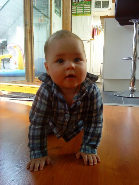 Bild zu