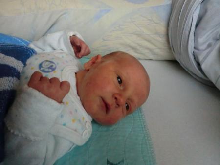 Bild zu 
