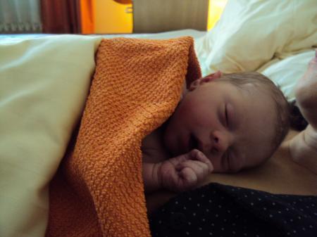 Bild zu 