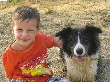 Bild zu