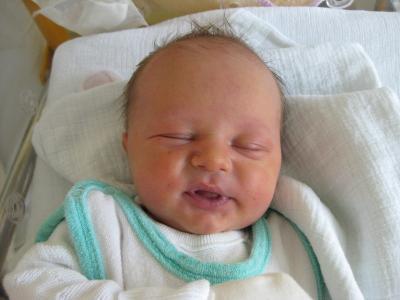 Bild zu Das ist unsere kleine Raupe - Forum für November - Mamis