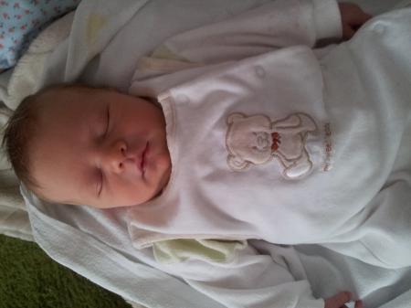 Bild zu