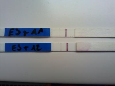 Bild zu ich kann es immernoch.... - Forum für November - Mamis