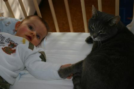 Bild zu