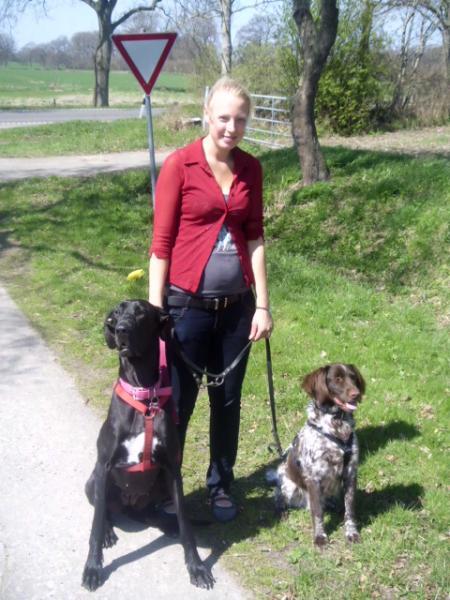 Bild zu