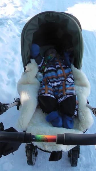 Bild zu Wegen Kiwa und Schnee und Wald... - Forum für November - Mamis