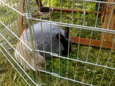 Bild zu fuehle mich nicht schwanger - Forum für November - Mamis