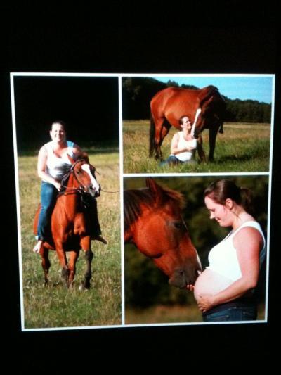 Bild zu babybauch-pferde-shooting - Forum für November - Mamis