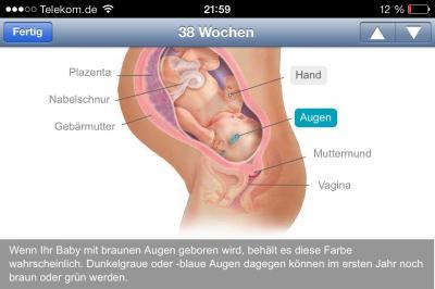 Bild zu Interessantes zur Augenfarbe - Forum für November - Mamis
