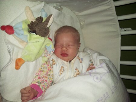 Bild zu 