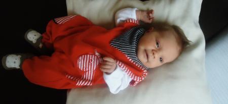 Bild zu 