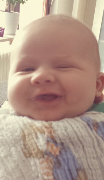 Bild zu