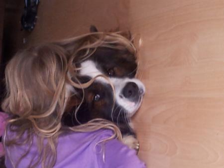 Bild zu 