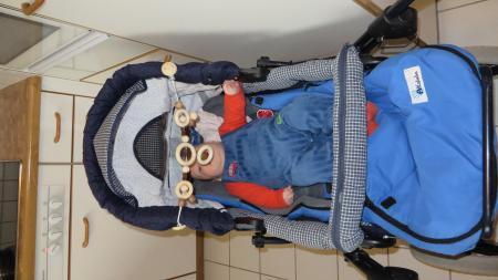Bild zu 