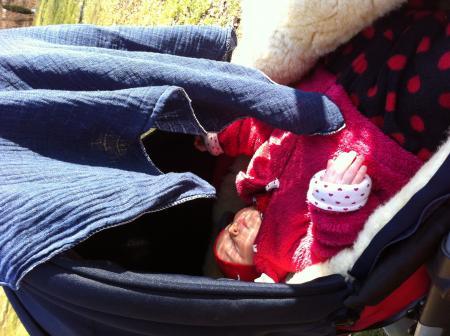 Bild zu 
