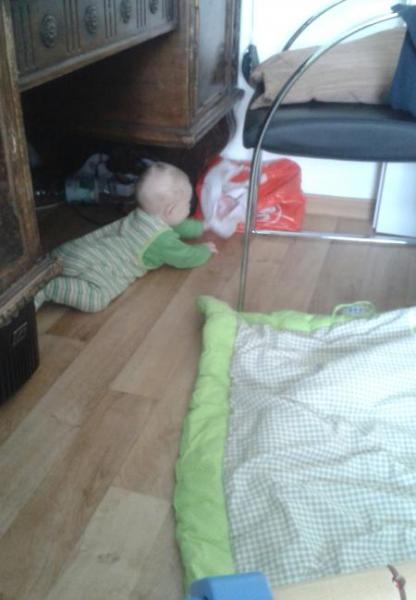 Bild zu