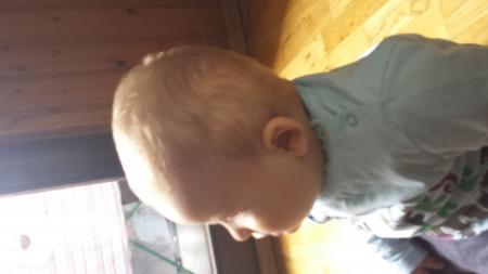 Bild zu 