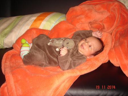 Bild zu 