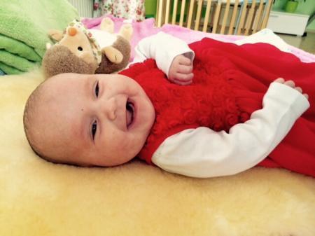 Bild zu 