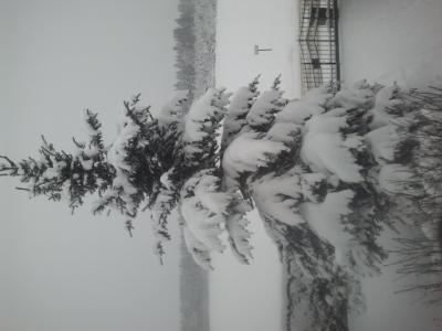 Bild zu SCHNEE - Forum für November - Mamis