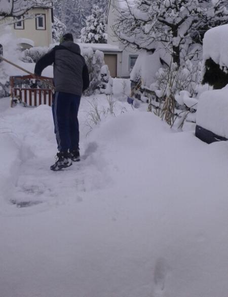 Bild zu 