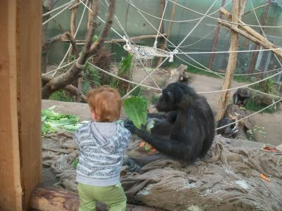 Bild zu Gestern Zoo :) - Forum für November - Mamis