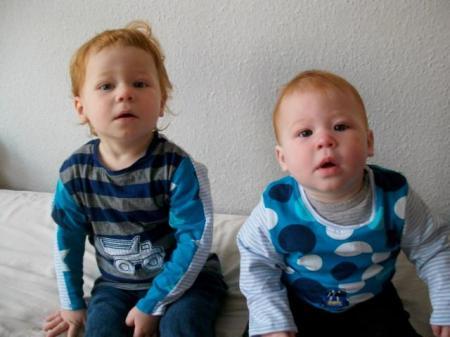 Bild zu